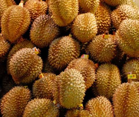 durian-king-of-fruits.jpg
