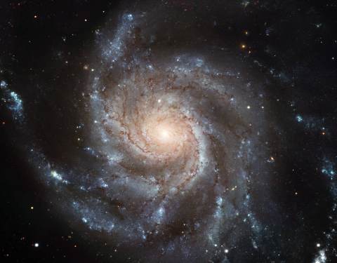 <img:http://zo-d.com/blog/archives/images/pinwheel-galaxy.jpg>