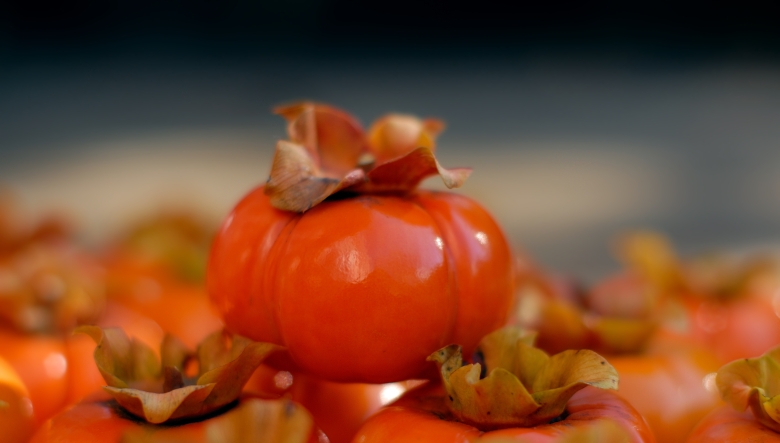 Persimmon.jpg